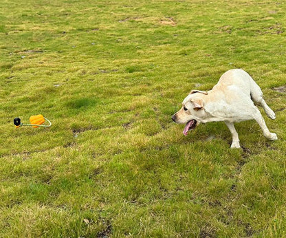 Wefulfil indestructible dog rope toy in orange on grass with yellow Labrador running to fetch