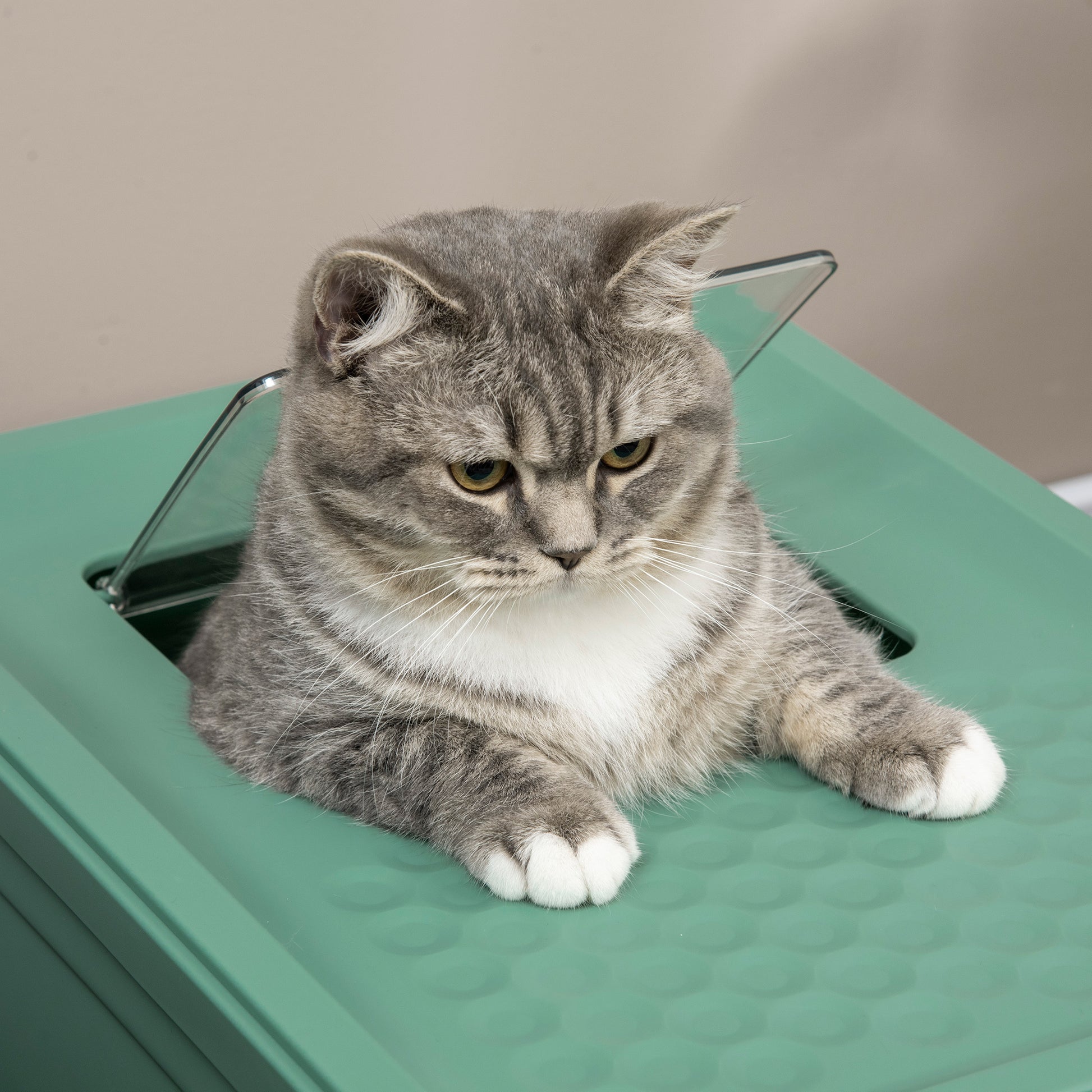 Wefulfil green fully enclosed cat litter box with top entry and gray tabby cat peeking through lid