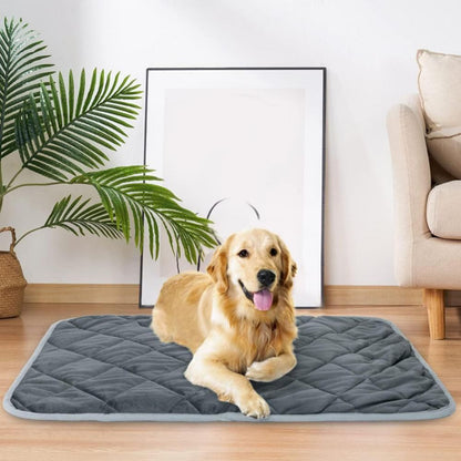 Golden retriever resting on gray quilted Self Heating Pet Pad in living room near sofa and plant