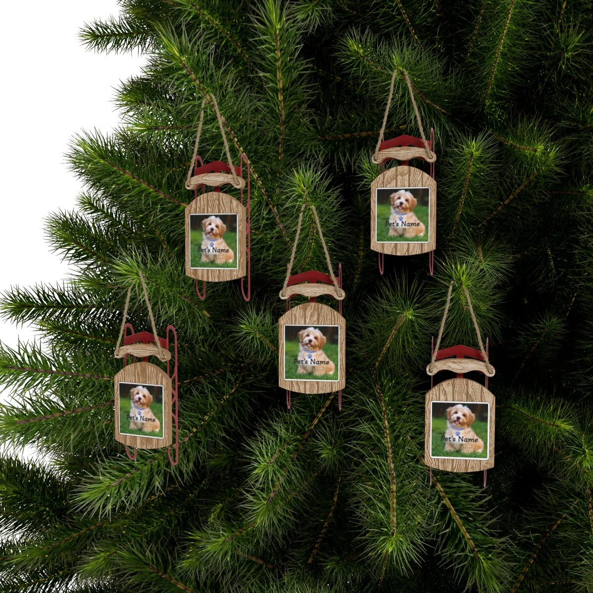 Personalized Pet Sled Ornaments hanging on fir tree five rustic wooden sled ornaments with dog photo