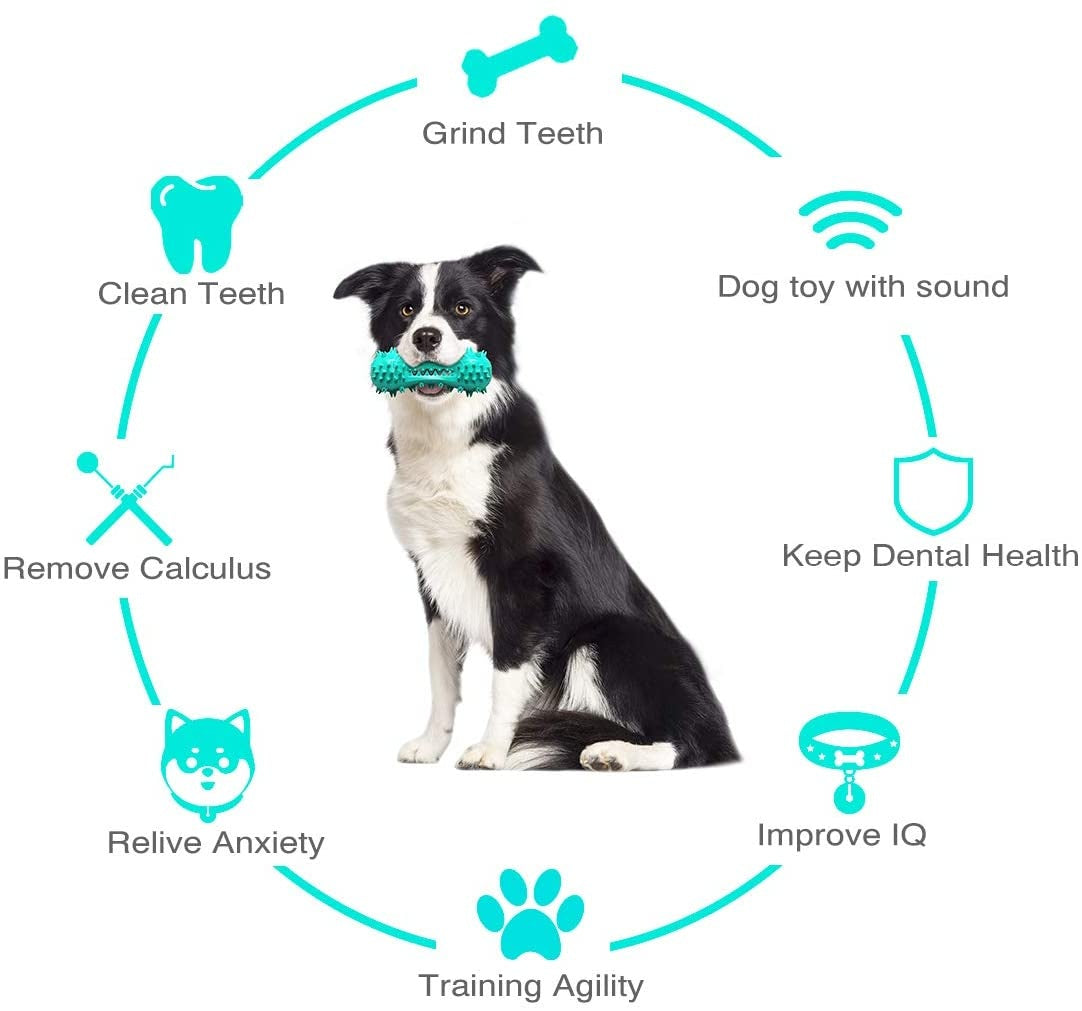 Wefulfil green textured dumbbell dog chew toy for aggressive chewers held by Border Collie and dental and training benefits