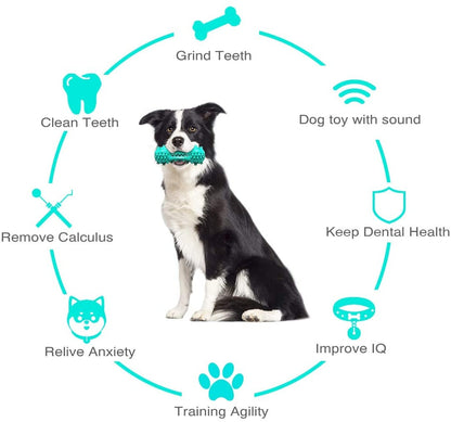 Wefulfil green textured dumbbell dog chew toy for aggressive chewers held by Border Collie and dental and training benefits