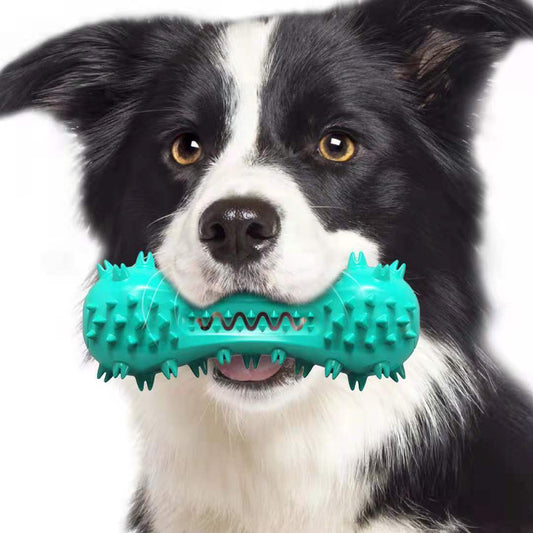 Wefulfil turquoise spiky rubber bone held by Border Collie dog chew toy for aggressive chewers durable