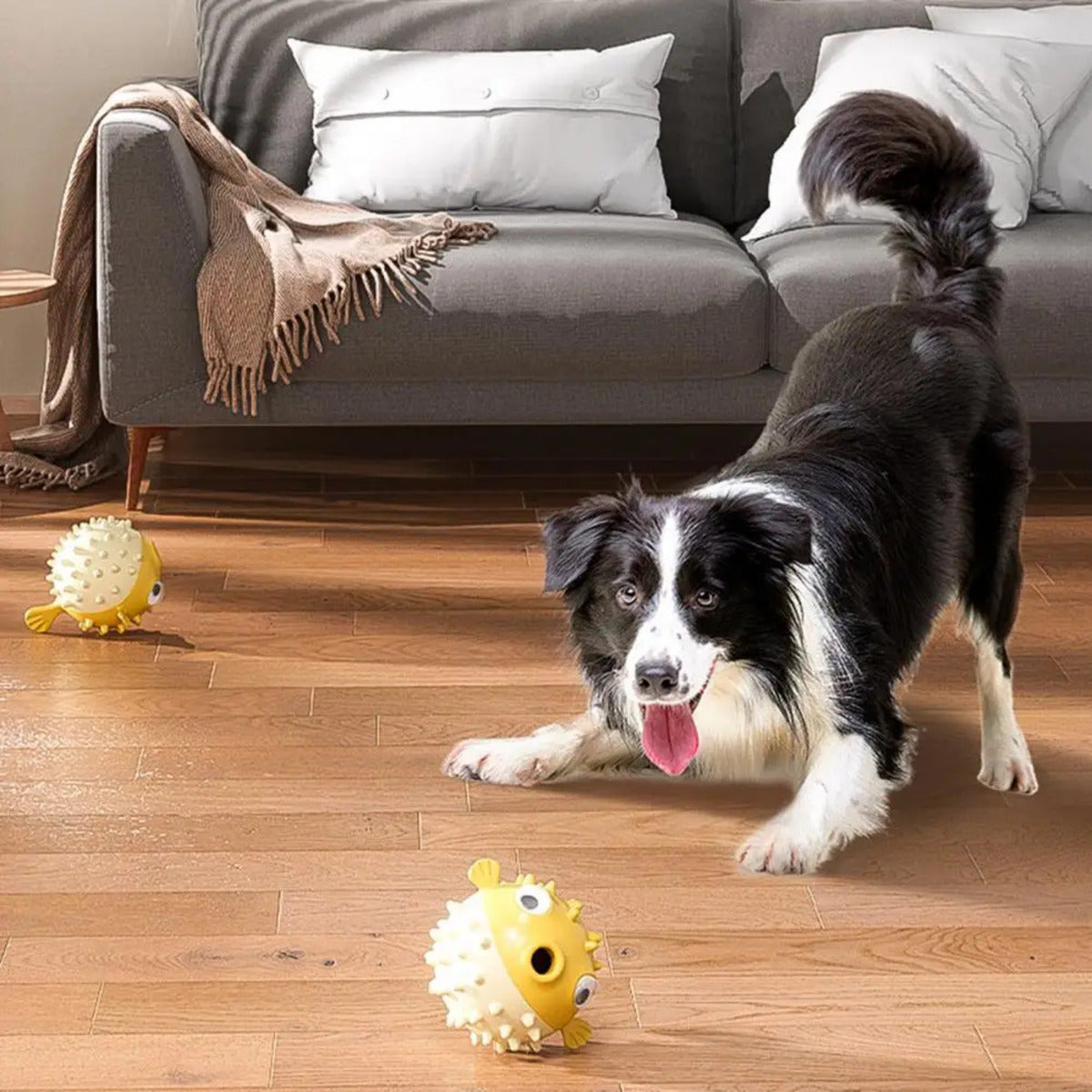 Wefulfil fish shaped dog chew toy yellow puffer ball on hardwood floor with border collie ready to play