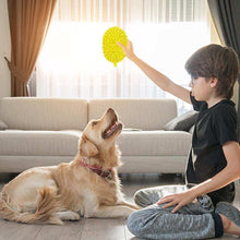 Wefulfil bright yellow durian shaped dog chew toy held by boy as golden retriever reaches up in living room
