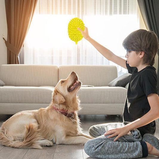 Wefulfil bright yellow durian shaped dog chew toy held by boy as golden retriever reaches up in living room