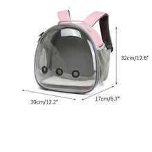 Stylish Pet Carrier Backpack in Pink with Clear Design and Ventilation for Comfortable Travel