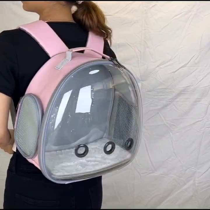 Pink Pet Carrier Backpack with Transparent Window and Ventilation for Small Pets