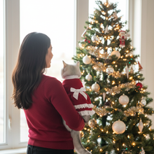 Pet Christmas Bow Fleece Princess Dress - Back View with Bow