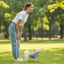 Pet Dog Cartoon Sweatshirt Outdoor Lifestyle - Looking Away