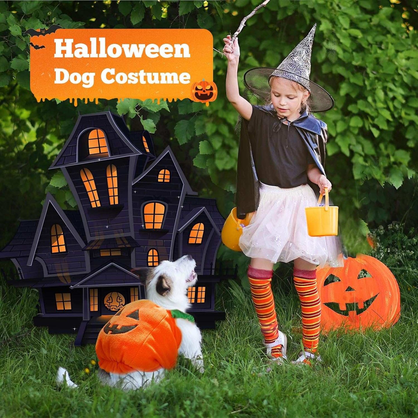 Child in Halloween Dog Costume with Witch Hat and Pumpkin Basket beside a Dog in a Pumpkin Outfit