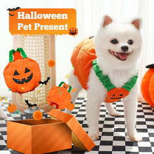 Cute pet dog costume in pumpkin design, perfect for Halloween celebrations and pet parties