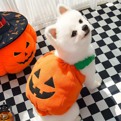 Adorable pet dog costume featuring a pumpkin design, perfect for Halloween celebrations