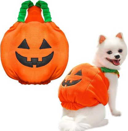 Cute pet dog costume in pumpkin design perfect for Halloween celebrations