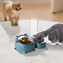 Pet water bottle and bowl combo for cats, featuring a food bowl and water dispenser in a stylish design