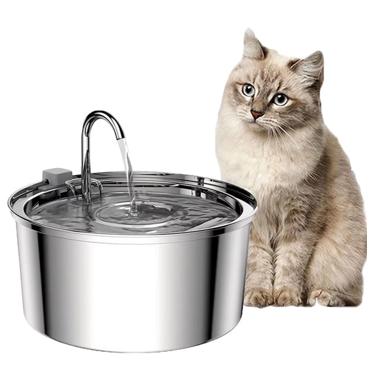 stainless steel pet water fountain with flowing spout and wide bowl pictured next to a cream tabby cat
