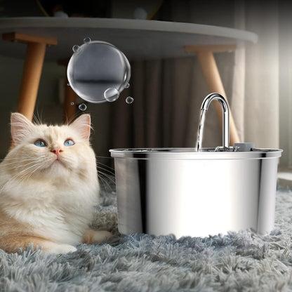 Purrfect Pet Haven stainless steel pet water fountain with flowing spout next to a fluffy blue eyed cat