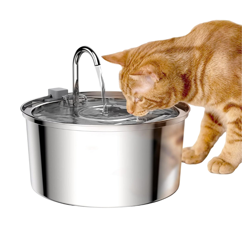Purrfect Pet Haven stainless steel pet water fountain with flowing spout and orange tabby cat drinking