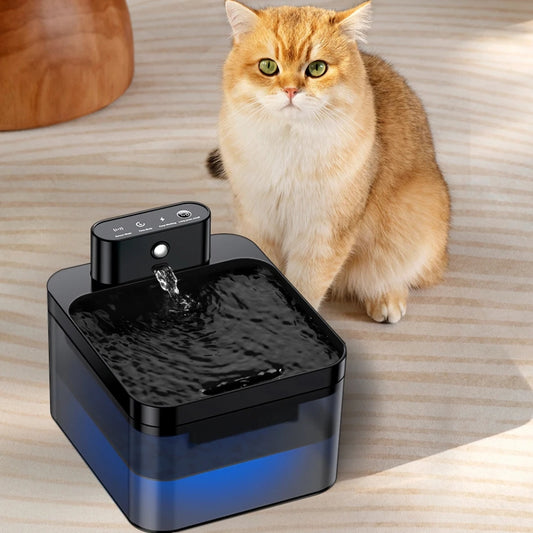 Purrfect Pet Haven black wireless pet water fountain with LED base and flowing spout beside orange cat