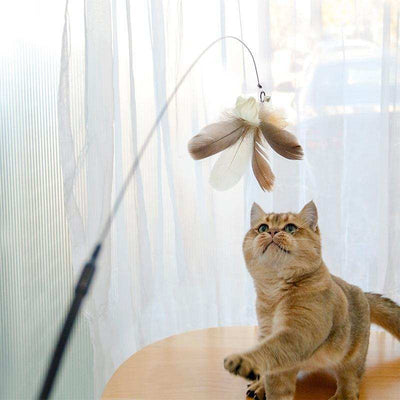 Wefulfil Retractable Interactive Laser pet toy with feathers and a cat playing indoors