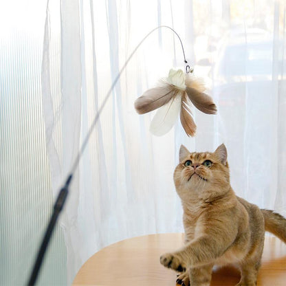 Wefulfil Retractable Interactive Laser pet toy with feathers and a cat playing indoors