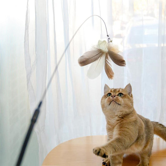 Wefulfil Retractable Interactive Laser pet toy with feathers and a cat playing indoors