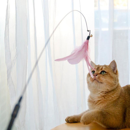 Wefulfil Retractable Interactive Laser with pink feather toy engaging a curious orange cat indoors