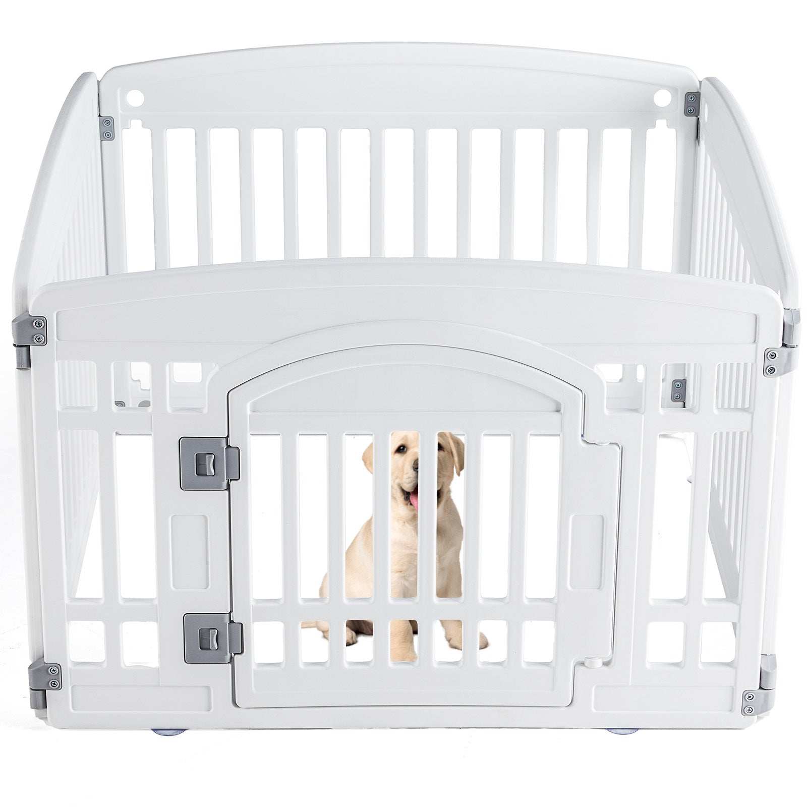 CJ Portable Pet Exercise Pen white plastic playpen with front gate latch and small labrador puppy inside