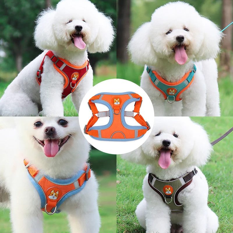 Wefulfil no pull dog harness for small dogs shown in orange blue brown on fluffy white dogs