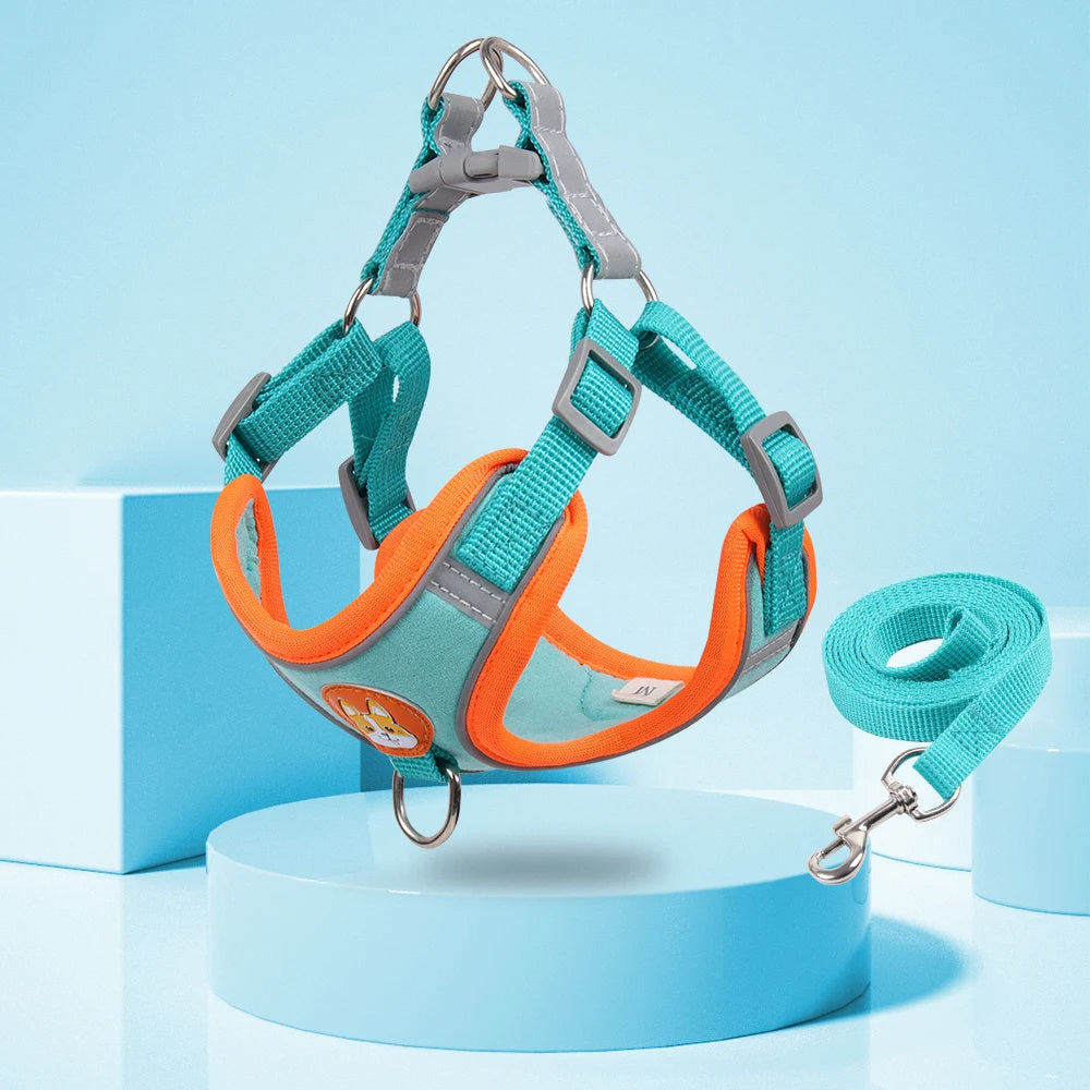 Wefulfil no pull dog harness for small dogs turquoise and orange padded adjustable harness with matching leash