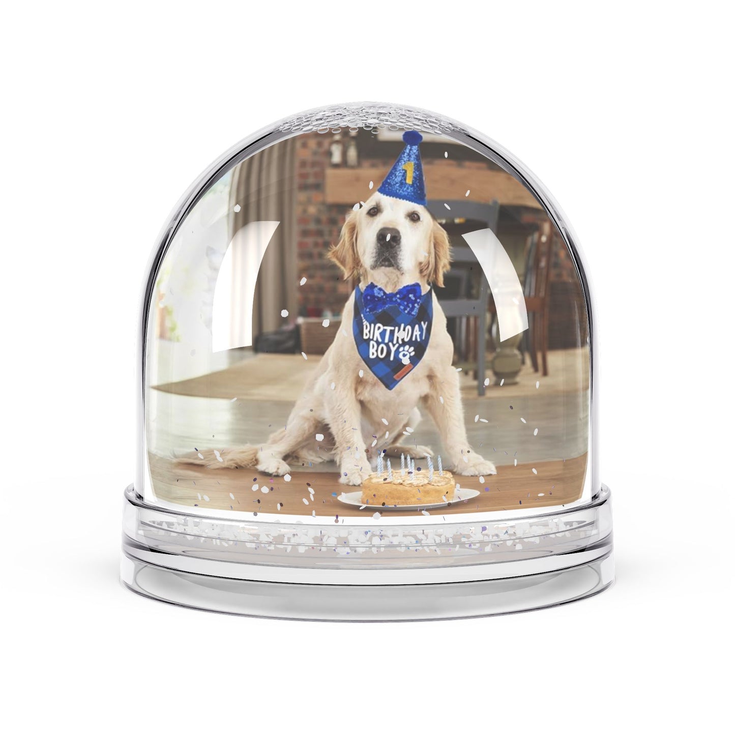 Pet Keepsake Snow Globe with golden retriever in birthday hat and cake for personalized home decor