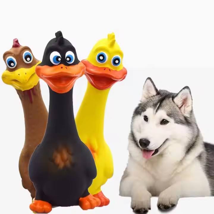 Wefulfil screaming chicken dog toys three colorful squeaky rubber chickens with big eyes beside a playful husky
