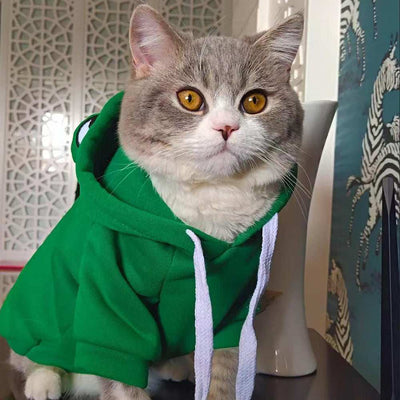 Adorable Frog Halloween Costume cat hoodie by Dropshipman soft green fleece hood with eyes and white drawstrings for photos