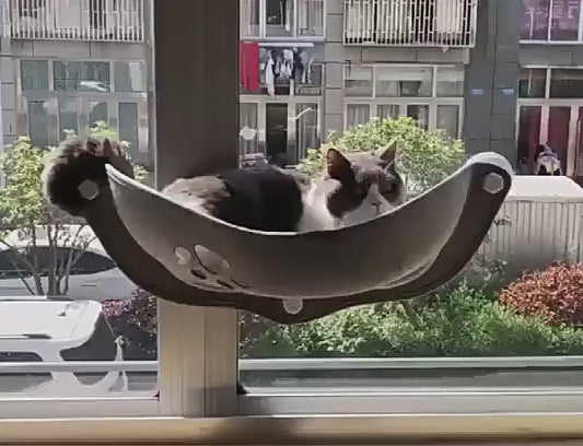 Premium Cat Window Hammock with Strong Suction Cups