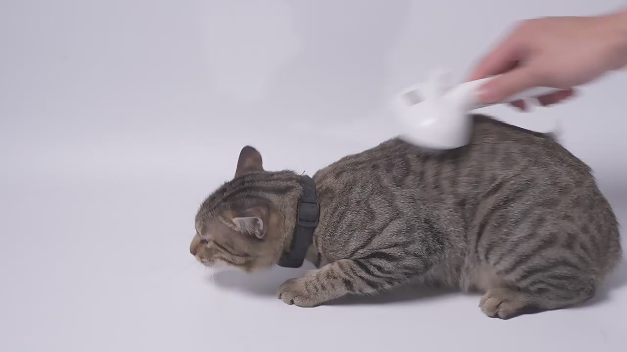 Pet Spray Comb for Grooming and Hair Removal-12