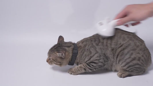 Pet Spray Comb for Grooming and Hair Removal