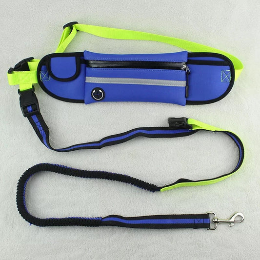 Pet leash belt bag