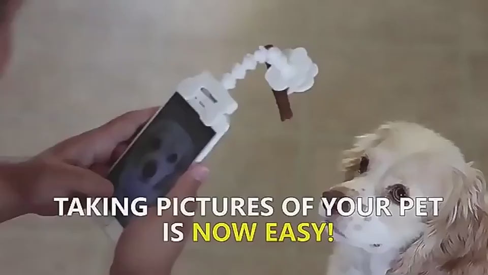 Load video: 1