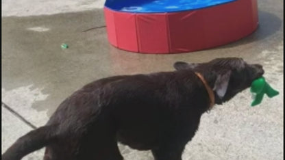 Portable Collapsible Pet Outdoor Swimming Pool