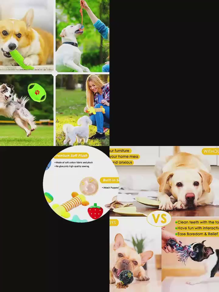 25pcs Set Of Dog Toys | Chew Toys For Dogs - Used For Teeth Cleaning-9