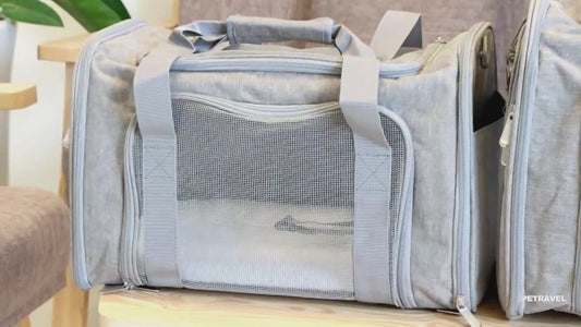 Airline Approved Pet Carrier Bag Backpack For Small Dogs and Cats