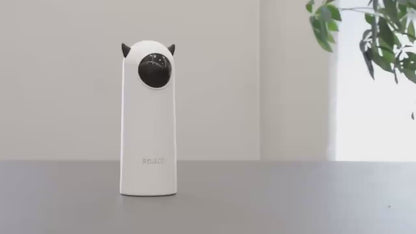 Smart Teasing Pet LED Laser Cat Toy