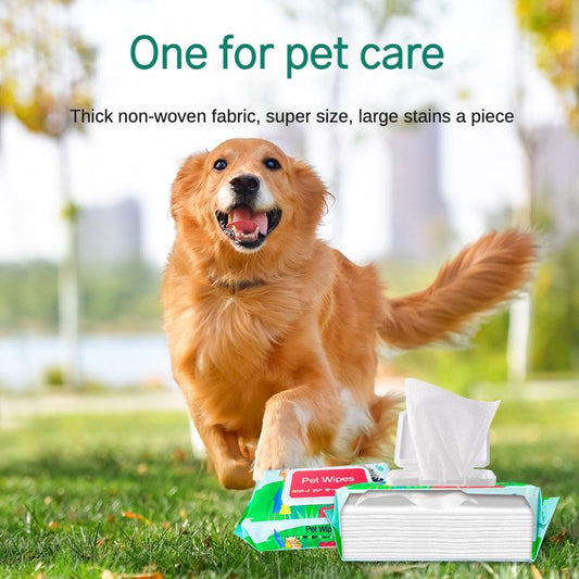 Golden retriever outdoors with Wefulfil pet wipes pack showing thick non woven sheets Safe Cleaning Care Pet