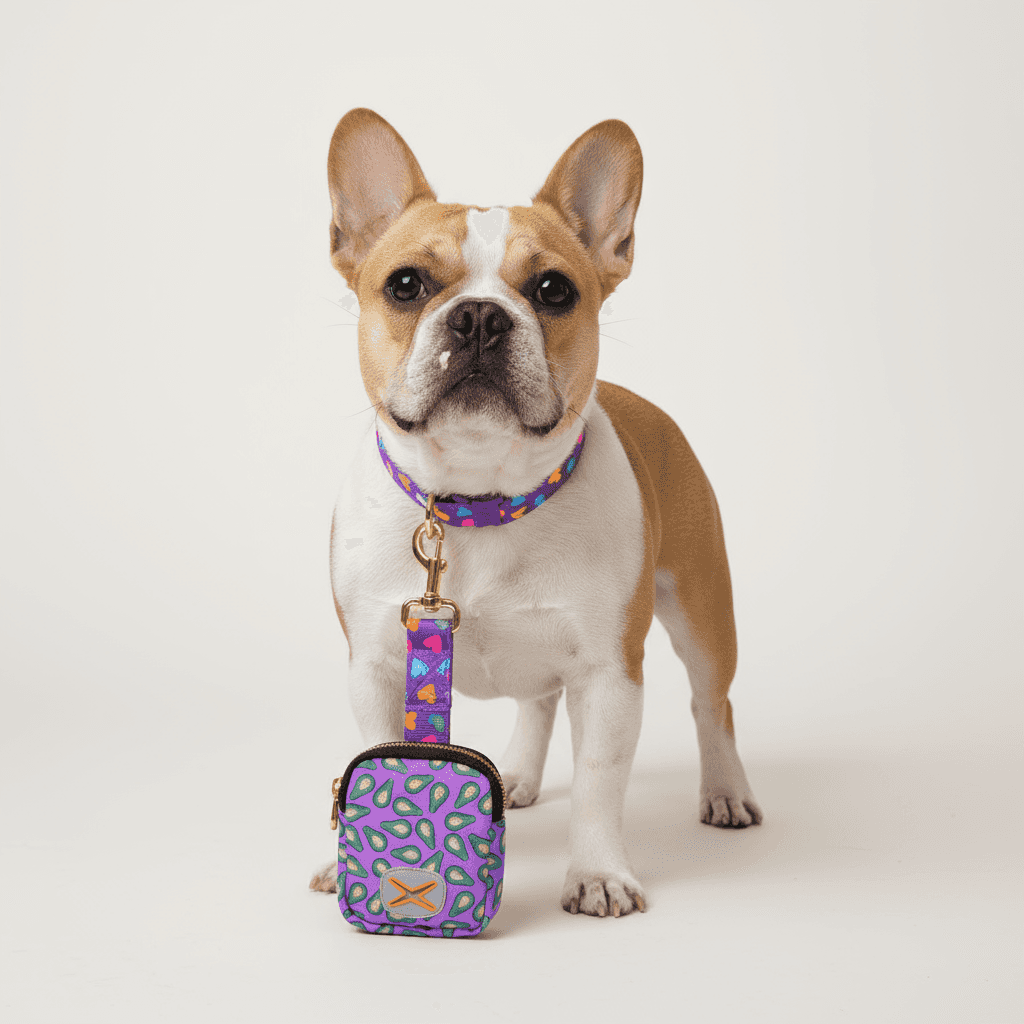 Dog Leash with Poop Bag Holder - Matching Set - Purrfect Pet Haven