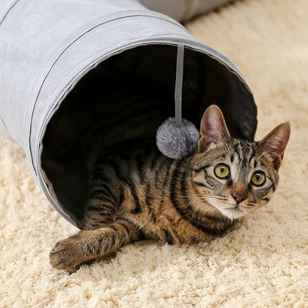 Tabby cat peeking from gray collapsible cat tunnel with dangling pom pom toy on beige carpet