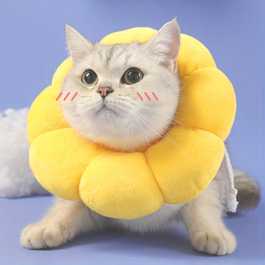 Cat wearing a yellow Recovery Neck Cone by Wefulfil for pet injury protection