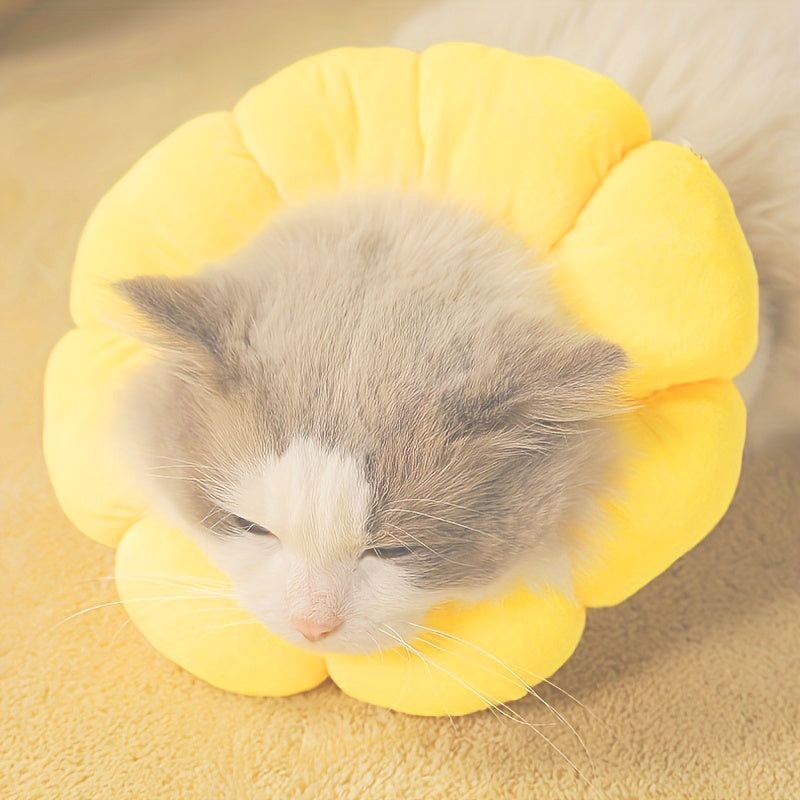 Cute kitten wearing a yellow flower-shaped Recovery Neck Cone for pet healing and protection
