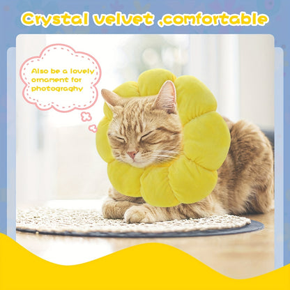 Wefulfil Recovery Neck Cone in yellow crystal velvet on a relaxed cat for pet comfort
