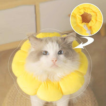 Wefulfil yellow Recovery Neck Cone on a white and gray cat protecting post-surgery