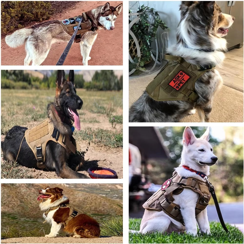 Wefulfil Tactical Service Dog Vest Harness shown on various dog breeds outdoors and indoors